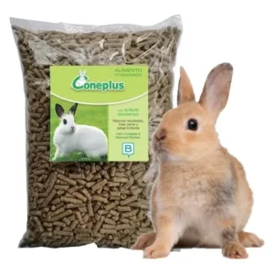 Conejina Adulto Bedoce 1Kg